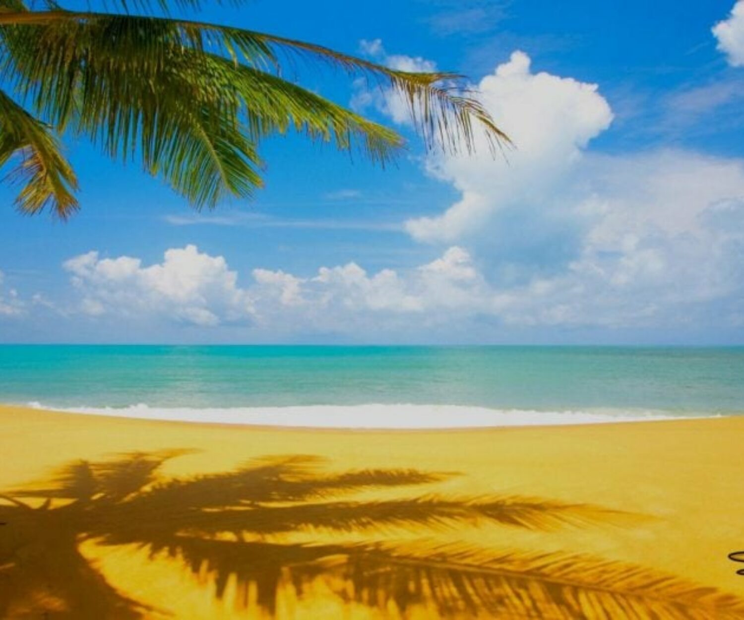 singshop_zomervakantie